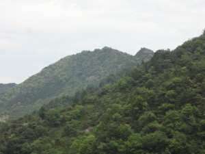 白山・妙見山 059 (640x480)