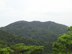 白山・妙見山 096・妙見山 (640x480)