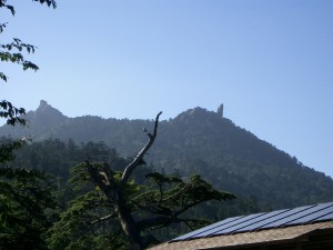 屋久島3・登山口から天柱石 074 (640x480)