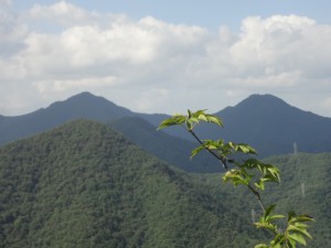 虚空蔵山 097・白髭岳（左）と松尾山（右） (640x480)