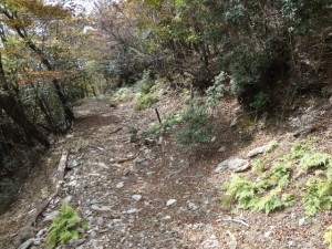 迷岳 020・稜線への登り口 (640x480)