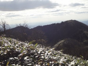 泉山 131・中央峰 (640x480)