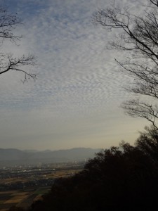 小谷山 223 (480x640)