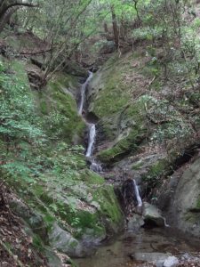 矢頭山 012・不動の滝 (480x640)