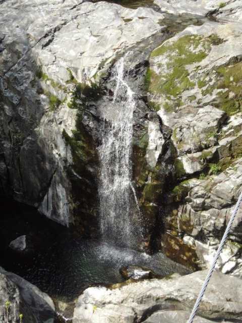 米国が、中国を「為替操作国」に指定。株価暴落と思いきや盛り返す。